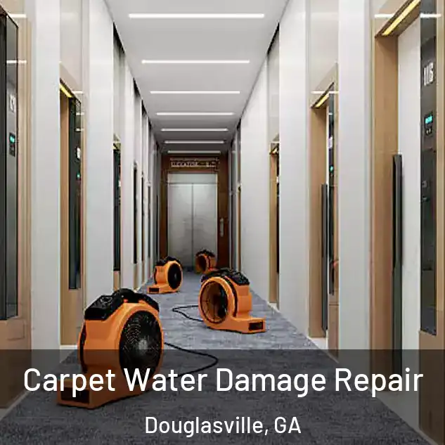  Carpet Water Damage Repair Douglasville, GA