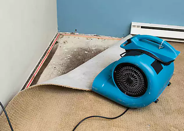 Your Water Damage Experts in Douglasville, GA