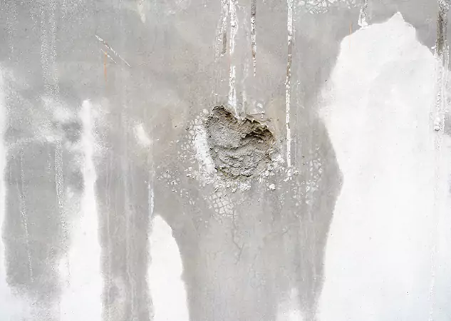 Your Mold Mitigation Solutions Partner in Douglasville, GA