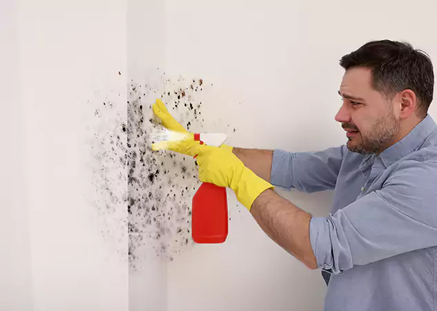 Your Water Mold Fire Restoration Partner in Douglasville, GA