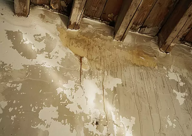 Your Trusted Restoration Company in Douglasville, GA