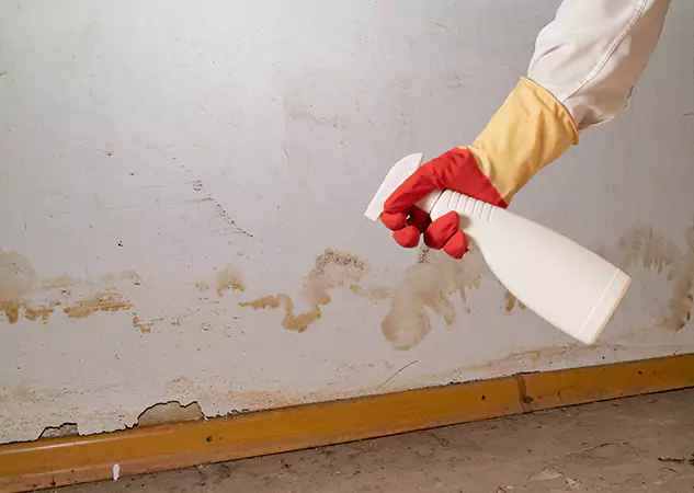 Your Water Restoration and Mold Remediation Specialists in Douglasville, GA