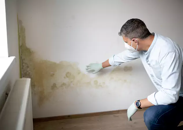 Reach Our Remediation Team Before Damage Grows in Douglasville, GA!