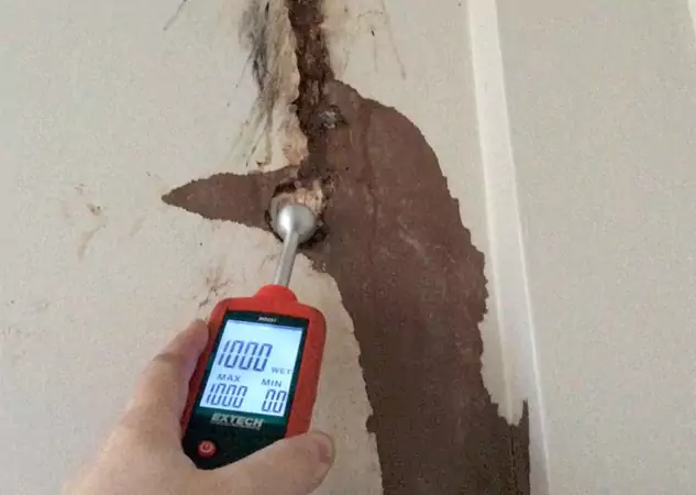 Your Water Damage Assessment Partner in Douglasville, GA