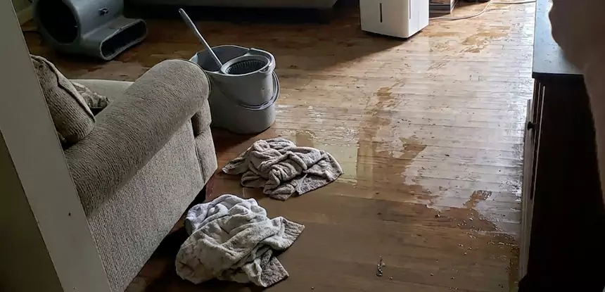 Professional Basement Water Remediation Services in Douglasville, GA