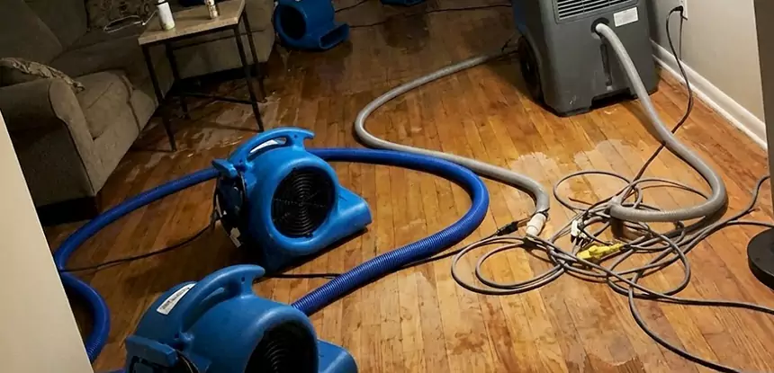 Basement Flood Restoration Services in Douglasville