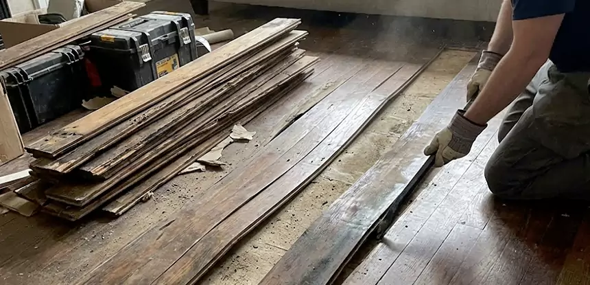 Wood Rot and Fungus Repair in Douglasville