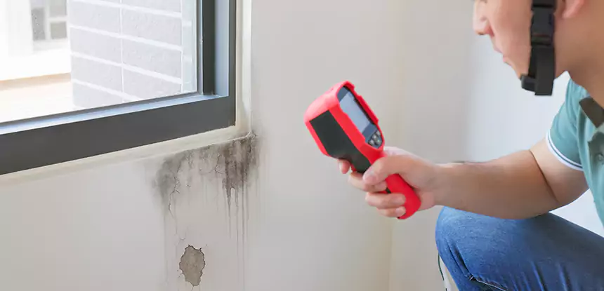 Wall Texture Repair After Mold in Douglasville