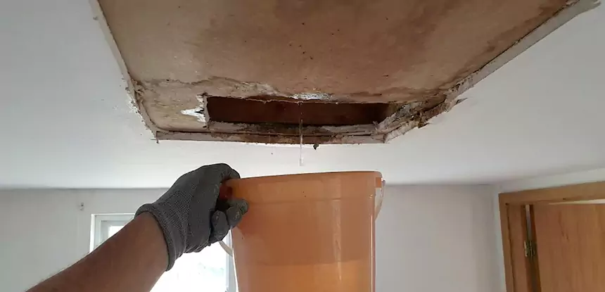 Ceiling Mold Repair Douglasville 