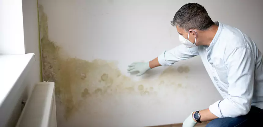 Mold and Water Damage Repair in Douglasville
