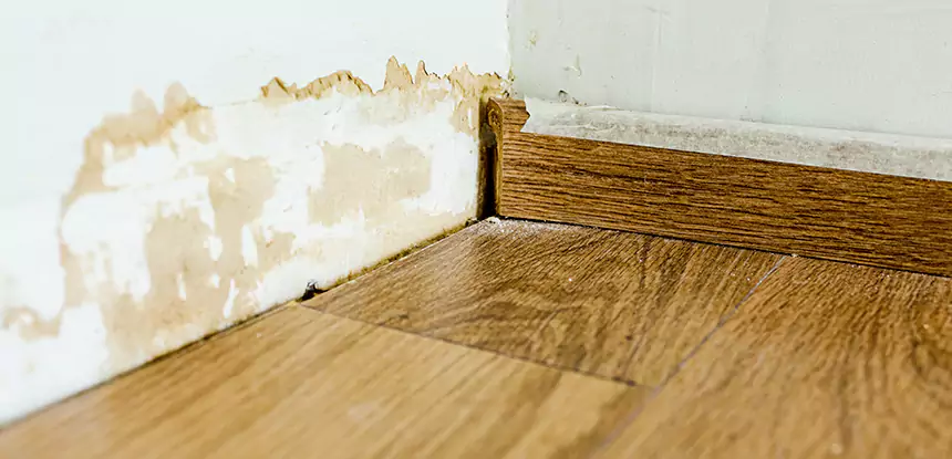 Professional Fix Water Damaged Wood Services in Douglasville, GA