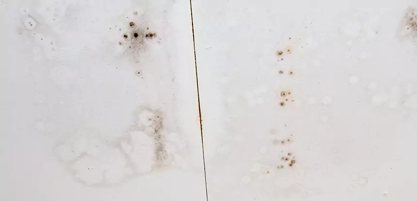Professional Water Stain Repair Services in Douglasville, GA
