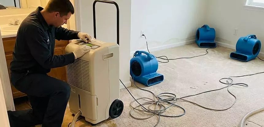 Professional Wet Carpet Removal Services in Douglasville, GA