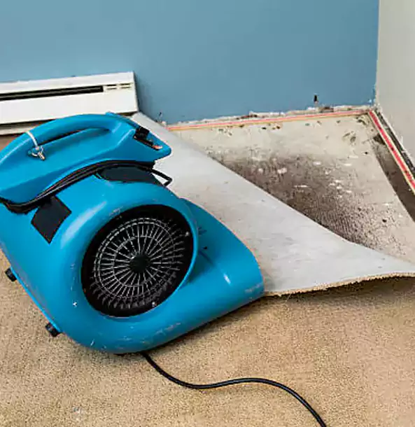 Why Douglasville Trusts Douglasville Restoration Pro for Carpet Flood Recovery?