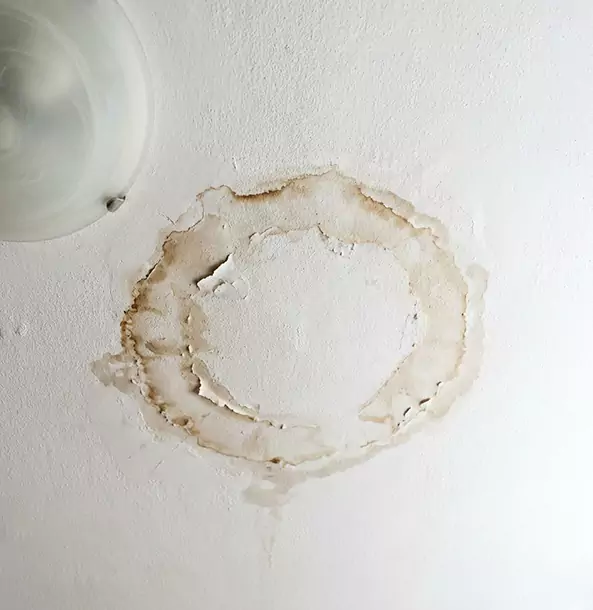 Why Douglasville Property Owners Choose Douglasville Restoration Pro for Ceiling Water Damage Restoration?