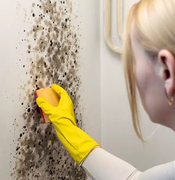 Why Douglasville Restoration Pro Leads Mold Remediation in Douglasville?