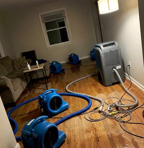 Why Douglasville Property Owners Rely on Douglasville Restoration Pro for Remediation?