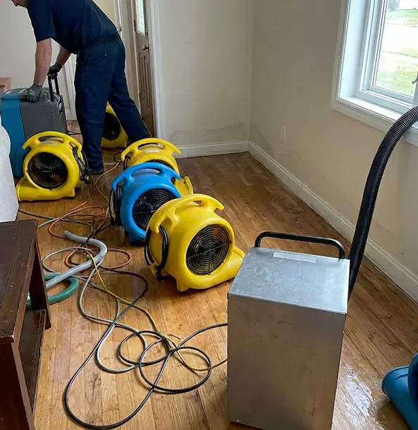 Why Douglasville Property Owners Choose Douglasville Restoration Pro for Remediation?