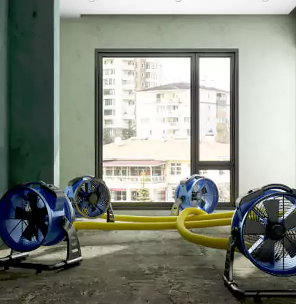 Why Douglasville Property Owners Trust Douglasville Restoration Pro for Water Damage Drying?