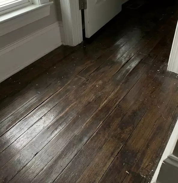 Why Douglasville Homeowners Trust Douglasville Restoration Pro to Fix Water Damaged Wood?