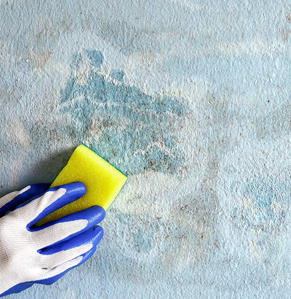 Why Douglasville Restoration Pro Is the Right Choice in Douglasville, GA?