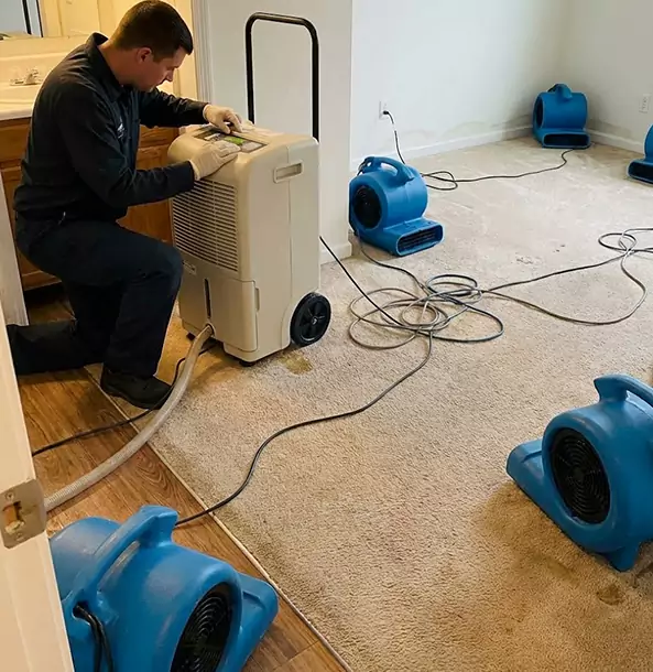Why Douglasville Homeowners and Businesses Trust Douglasville Restoration Pro for Carpet Drying?