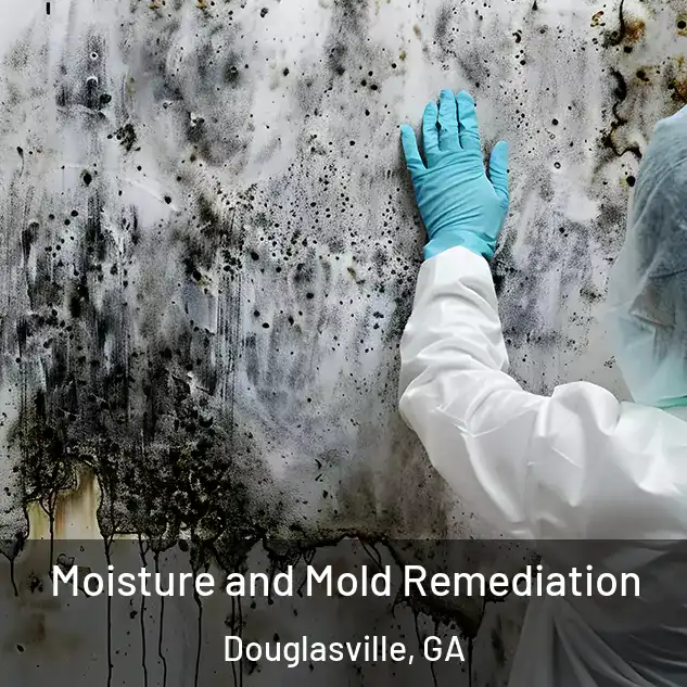  Moisture and Mold Remediation Douglasville, GA