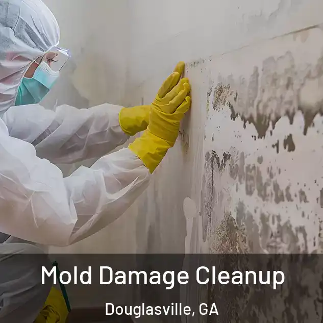  Mold Damage Cleanup Douglasville, GA