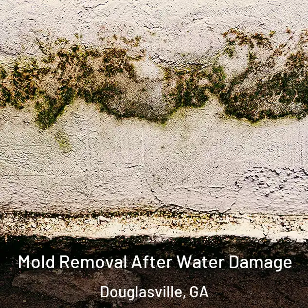  Mold Removal After Water Damage Douglasville, GA