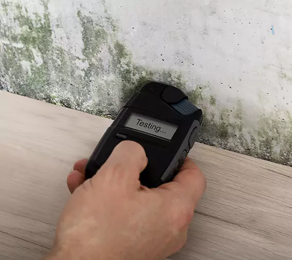 Mold Remediation Service Douglasville