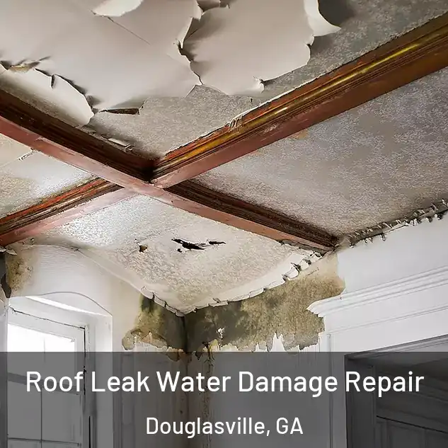  Roof Leak Water Damage Repair Douglasville, GA